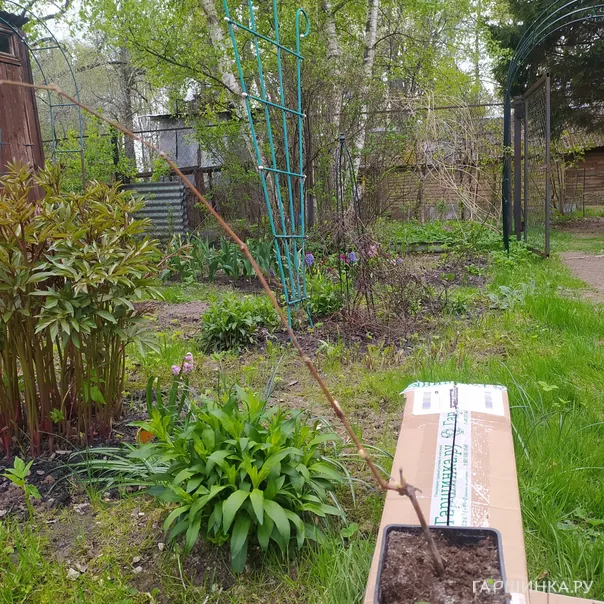 превью изображения отзыва