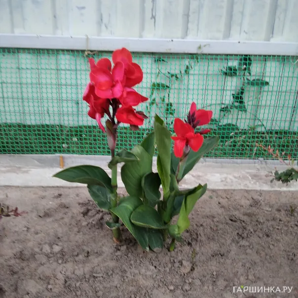 превью изображения отзыва