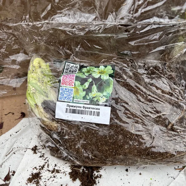 превью изображения отзыва