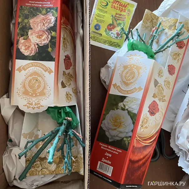 превью изображения отзыва