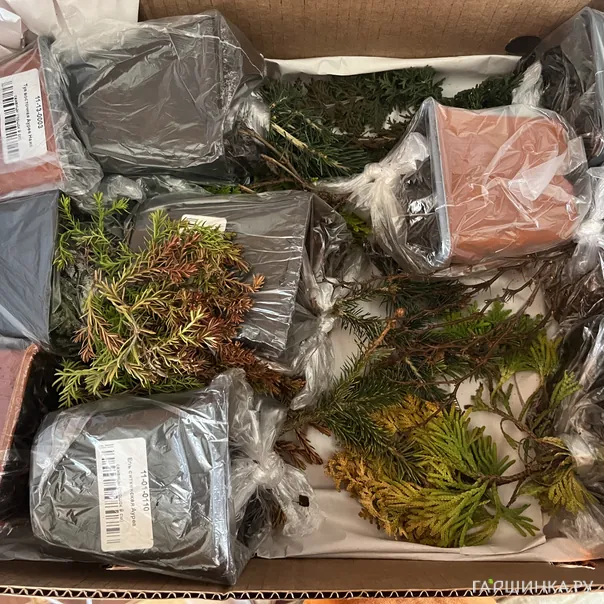 превью изображения отзыва