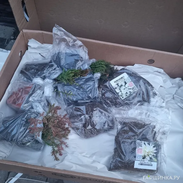 превью изображения отзыва