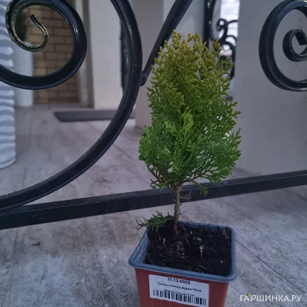 превью изображения отзыва