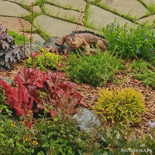 превью изображения отзыва