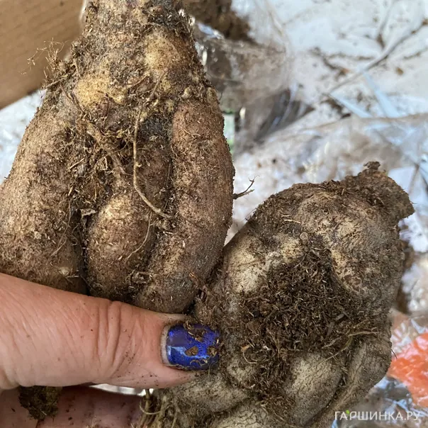 превью изображения отзыва