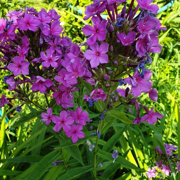 превью изображения отзыва