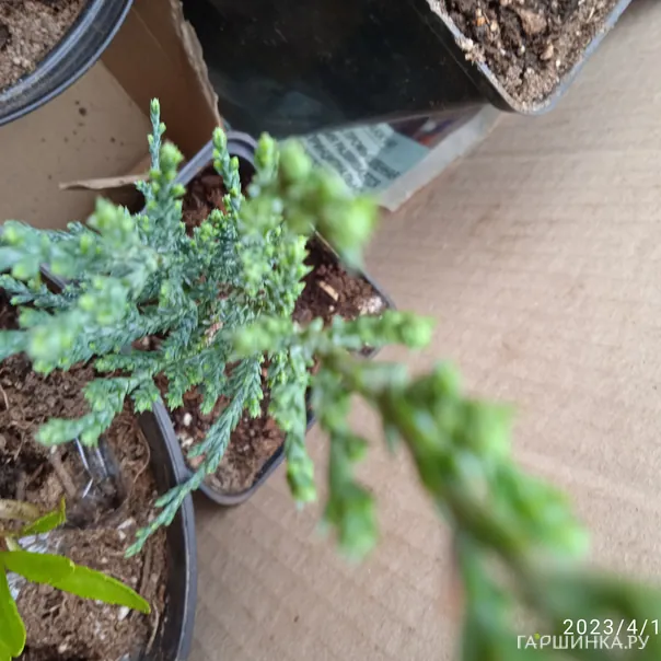 превью изображения отзыва