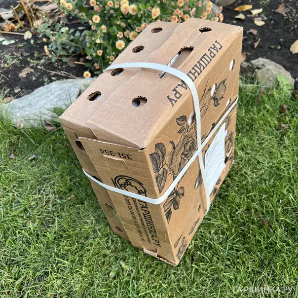 превью изображения отзыва