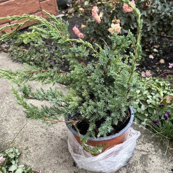 превью изображения отзыва