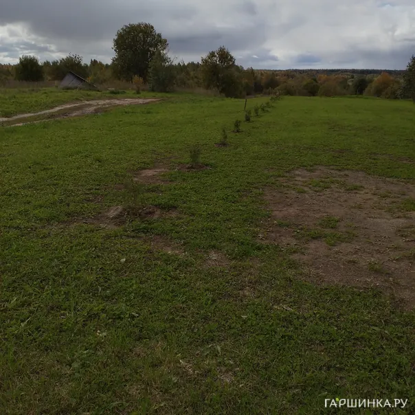 превью изображения отзыва