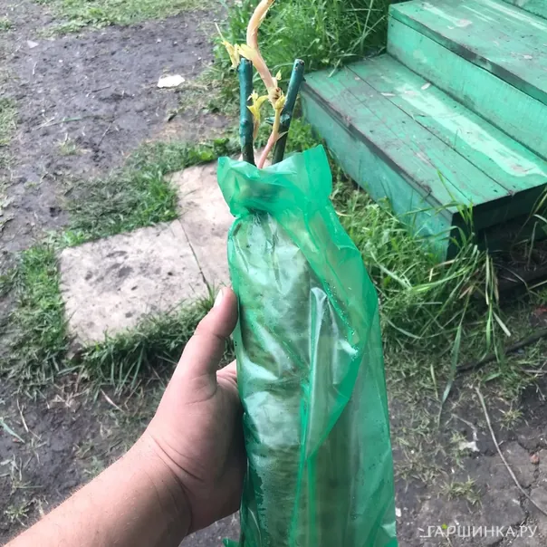 превью изображения отзыва