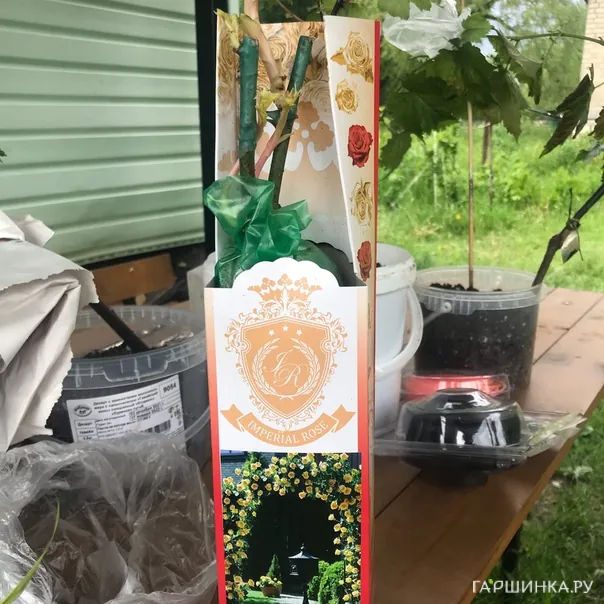 превью изображения отзыва