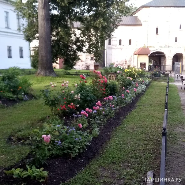 превью изображения отзыва