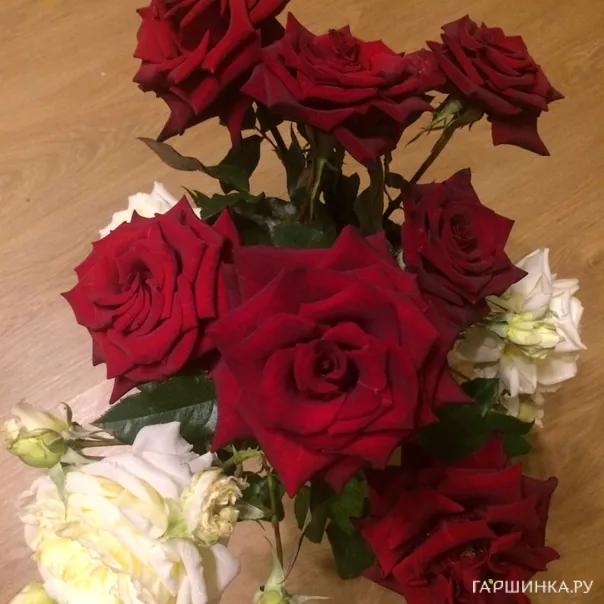 превью изображения отзыва