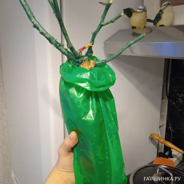 превью изображения отзыва