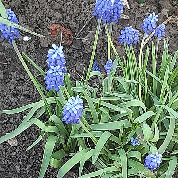 превью изображения отзыва