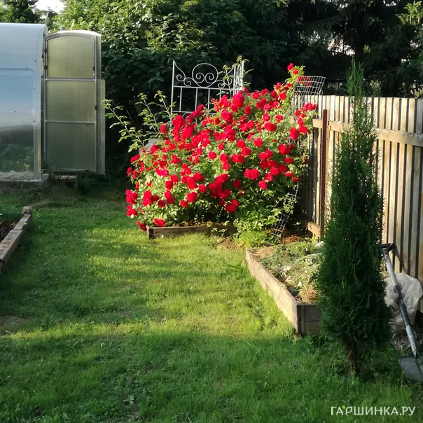 превью изображения отзыва