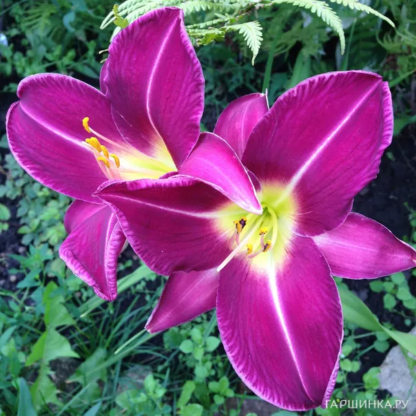 превью изображения отзыва